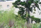 Pine Grove NSWcommercial-landscaping-10.jpg; ?>