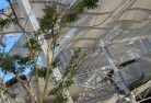 Pine Grove NSWcommercial-landscaping-14.jpg; ?>