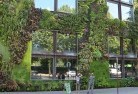 Pine Grove NSWcommercial-landscaping-18.jpg; ?>