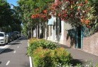 Pine Grove NSWcommercial-landscaping-23.jpg; ?>