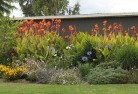 Pine Grove NSWplants-31.jpg; ?>