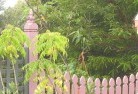 Pine Grove NSWplants-57.jpg; ?>